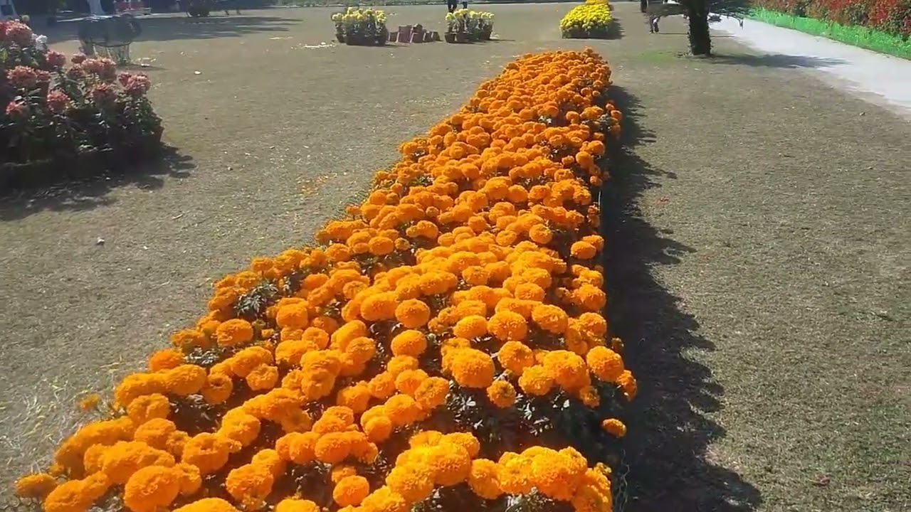 Terraced Garden Sector 33 Chandigarh.