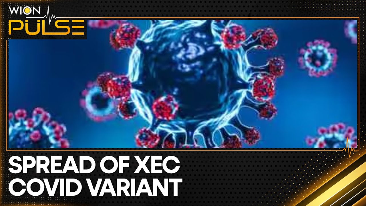 COVID variant XEC sees rapid global growth | Latest News | WION - YouTube