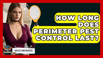 How Long Does Perimeter Pest Control Last? - Insects and Invaders