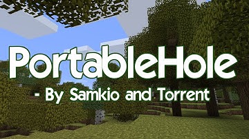 Plugin Showcase - PortableHole - WoopaGaming