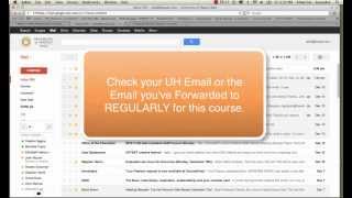 Intro :: myUH EMAIL