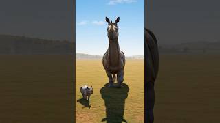 This is what a rhino looked like 34 million years ago 🦏 #shorts