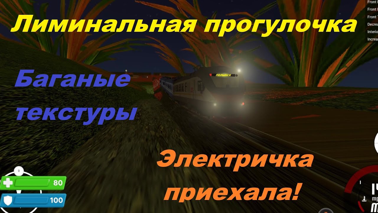 ЛИМИНАЛЬНАЯ прогулка по Фывским лесам и полям, а так же на электричке)