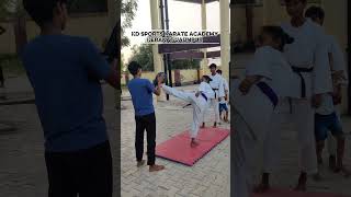 Practice the Kick. Master the Power. 🥋🔥#karate #karatekick #kickpractice #martialarts #training #1m
