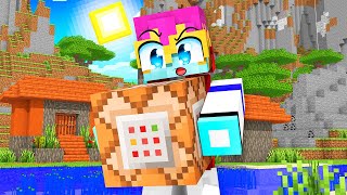 AKU MENGGUNAKAN KEKUATAN COMMAND BLOCK UNTUK TAMATIN MINECRAFT - Minecraft Bertahan Hidup #8