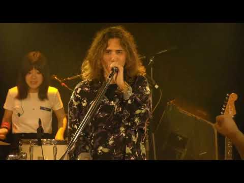 【世界が終わるまでは/WANDS】カバー 20231014＠渋谷GUILTY