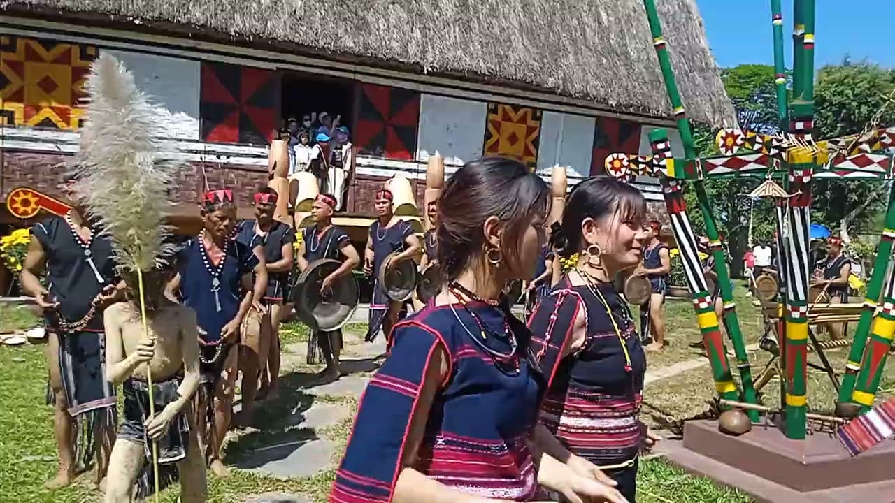 Độc đáo hấp dẫn múa cồng chiêng anh em Ba Na Tây Gia Lai mừng xuân bính ngọ 2026 tại bt Quang Trung 