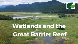 Wetlands: Improving water quality runoff to the reef