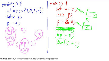 [C] Pointer and Function