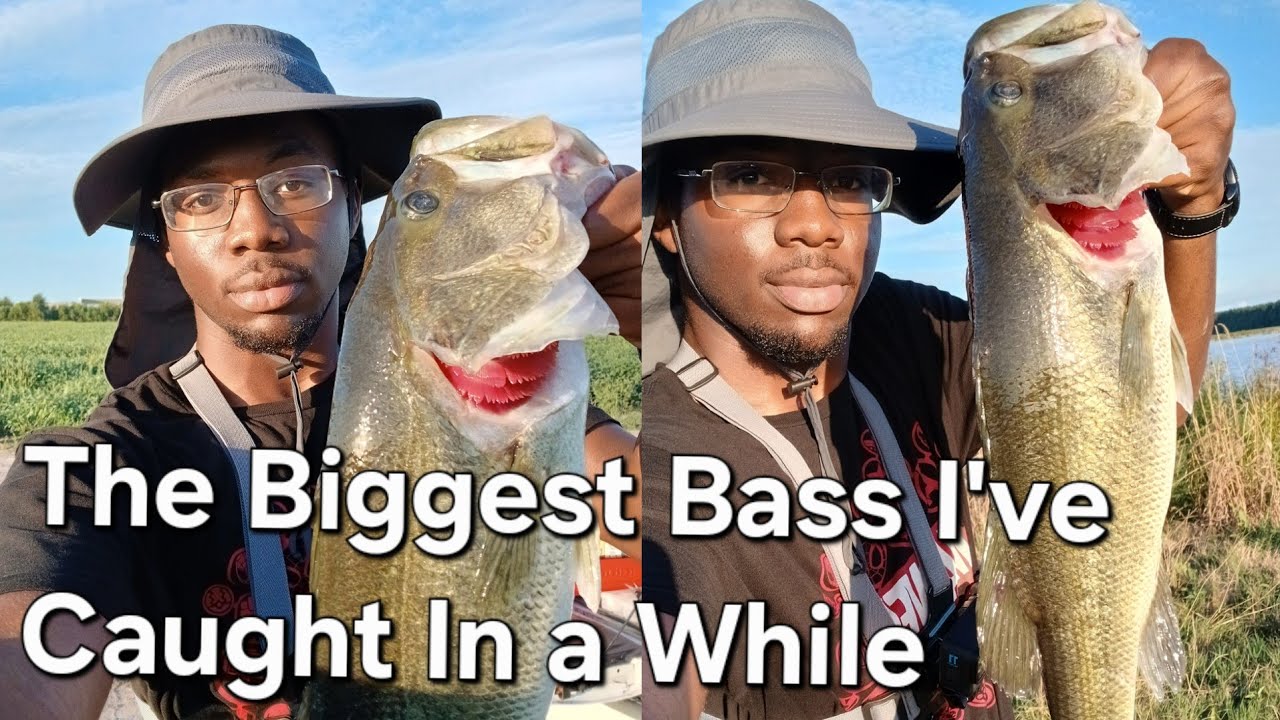The Biggest Bass I've Caught In a While
