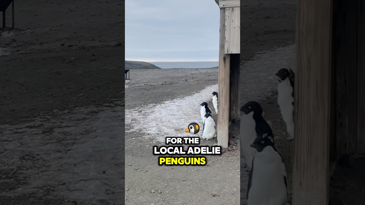 Scott’s Hut and the Discovery Ship in Antarctica