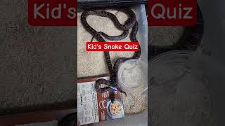 In what country would you find these Kingsnakes in the wild?