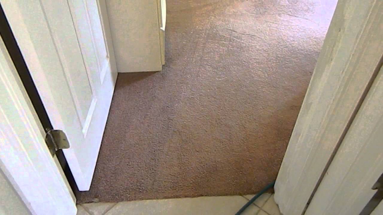 Carpet Cleaning Naples, Florida