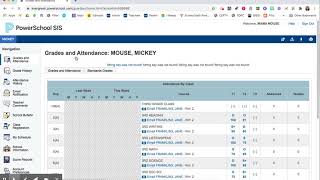 Report Card Grades in Parent Portal