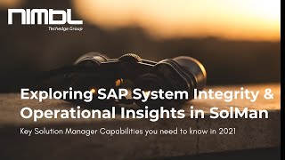 Webinar: SAP System Integrity & Operational Insights