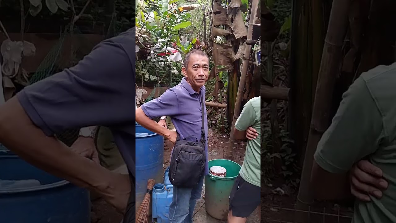 ito Po mga dog ni kuya danny..yong tita.mura lang. 120k lang Isa.😄