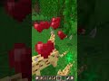 Did you know? Ocelots Curiosities In Minecraft.