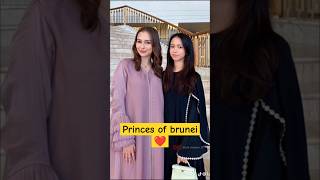 Kini Udah Tumbuh Jadi Putri Cantik Jelita Princes Ameerah My Allah Bless You