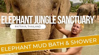 ELEPHANTS JUNGLE SANCTUARY IN PATTAYA, THAILAND | MUD BATH & SHOWER WITH THE ELEPHANTS + FEEDING @LeonGuerreroTV