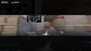 Instant Zoom in CS2 with WinGrid.