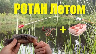 Ловля Ротана на Лесном Озере летом Рыбалка на боковой кивок