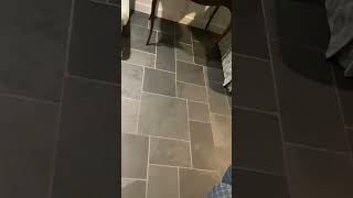 IMG 2813