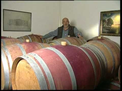 Видео: Защо производството на вино е нещо повече от правенето на вино