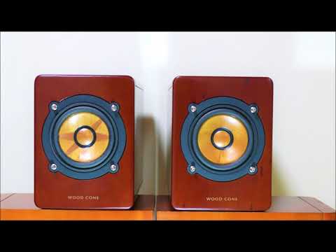 Victor ウッドコーンスピーカー SP-EXAR3 直径9cm フルレンジ hqdefault.jpg