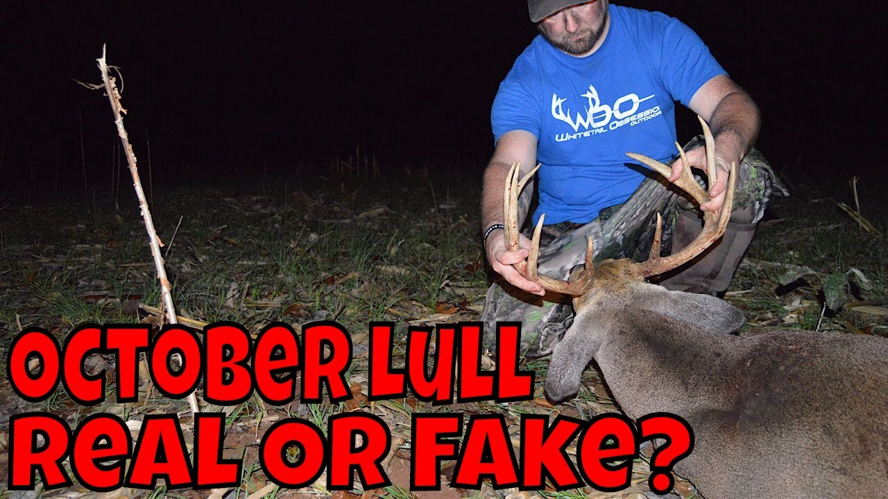 Deer Hunting The October LULL Is The LULL Real Or FAKE YouTube