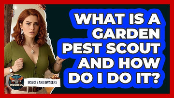What Is A Garden Pest Scout And How Do I Do It? - Insects and Invaders