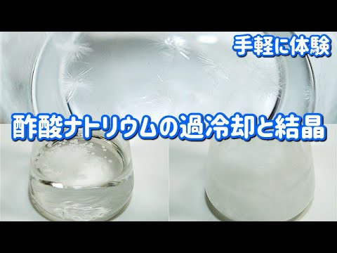 【解説】酢酸ナトリウムの過冷却と結晶（Supercooling and crystallization of sodium acetate）