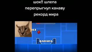 шлёпа перепрыгнул через канаву