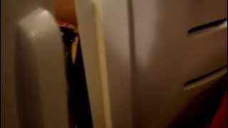 alice in the wondercity