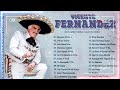 VICENTE FERNÁNDEZ MIX ROMANTICAS VIEJITAS PARA ADOLORIDOS - LO MEJOR DE VICENTE FERNÁNDEZ