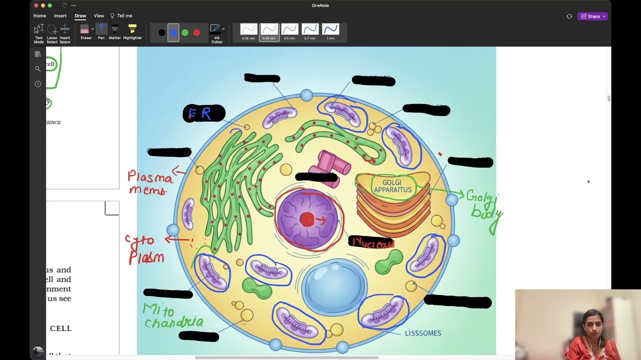 Class 9th NCERT cell explanation part 3
