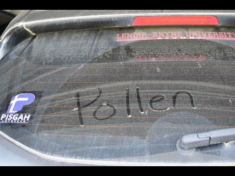 Word for Wednesday: Pollen Word for Wednesday: Pollen