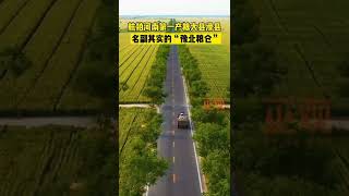 It Is Known As The Granary Of Northern Henan, China