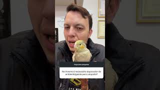 É necessário aquecedor de ambiente ?