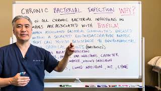 Chronic Bacterial Infections. WHY? Biofilm