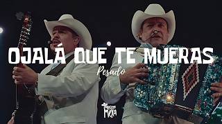 Pesado — Ojalá Que Te Mueras (Letra/Lyrics)