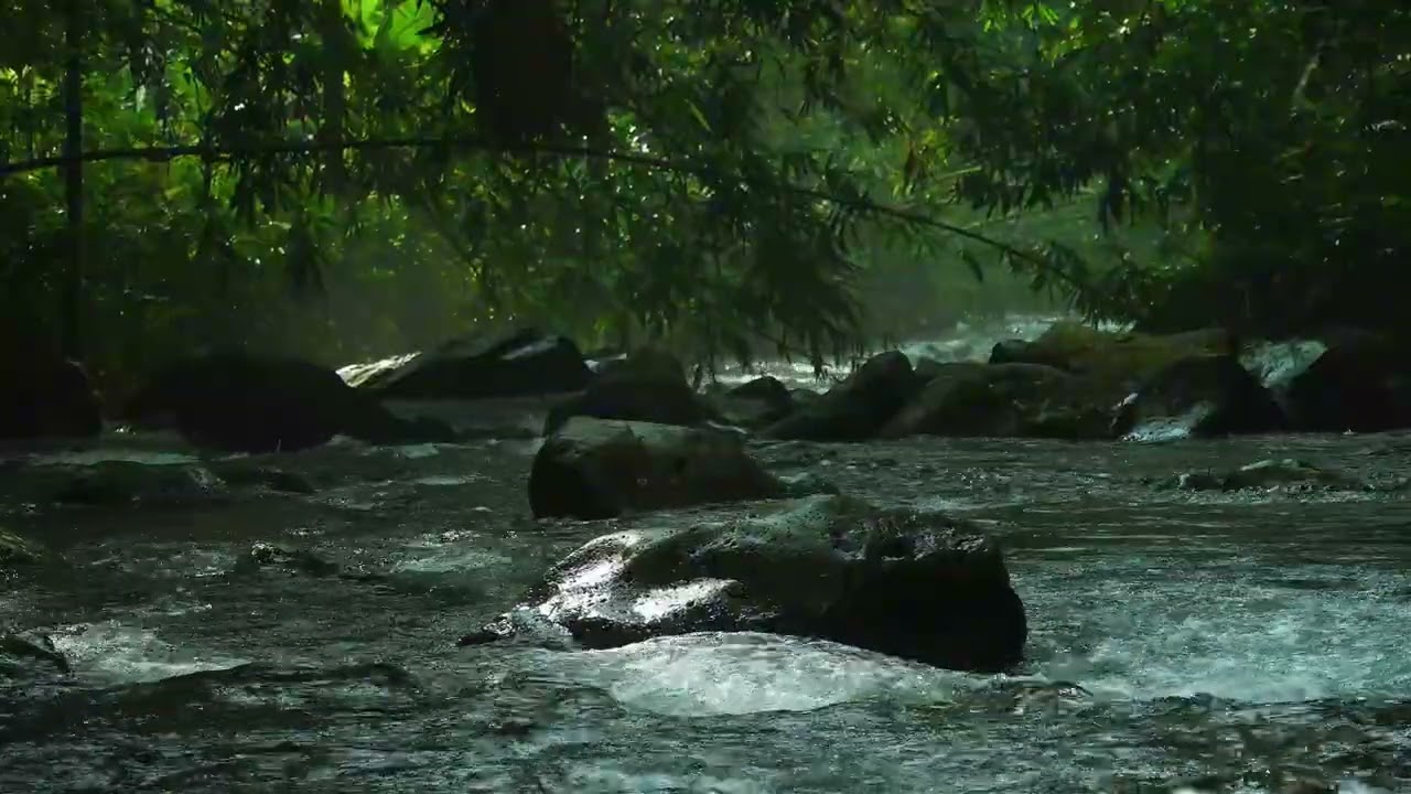 Forest Stream Sounds, Water Ambience, Deep Sleep, Relaxation