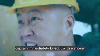 Famous 【Full Video】Giant Python Goes on a Rampage for Revenge, Attacks Luxury Hotel! 1 Net Worth