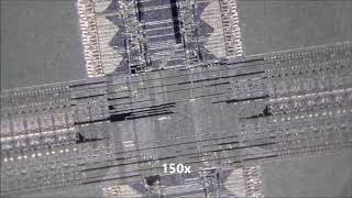 MicroChip of EPROMs under my microscope