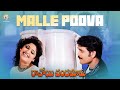 Malle Puvva Full Video Song Ravoyi Chandamama Movie Nagarjuna Mani Sharma Vyjayanthi Movies Malle Puvva Full Video Song Ravoyi Chandamama Movie Nagarjuna Mani Sharma Vyjayanthi Movies