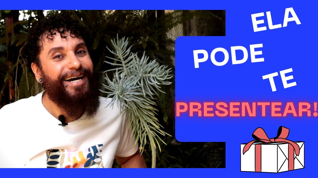 DICAS de cuidados e reprodução do SENECIO AZUL | Essa Suculenta linda é cheia de surpresas boas !!!