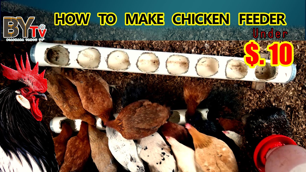 DIY Chicken Feeder | How To Make A Chicken Feeder Homemade - YouTube