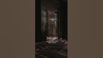 هزاع البلوشي 🤍 سورة الزمر