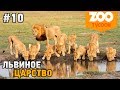 Zoo Tycoon Ultimate Animal Collection #10 Львиное царство