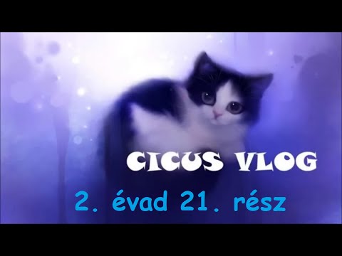 cicus-vlog---2.-évad-21.-rész---Őszbúcsúztató-események