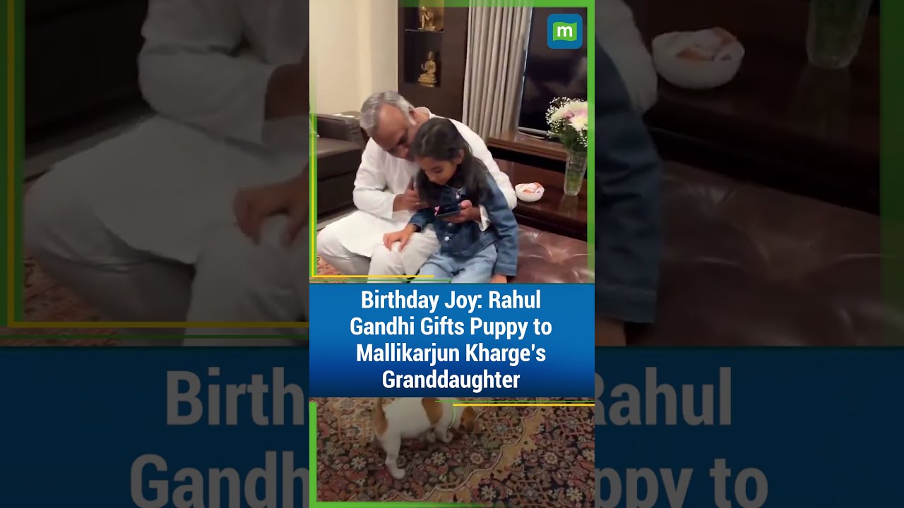 How Pawesome Kharge S Granddaughter Gets Puppy From Rahul Gandhi On Birthday